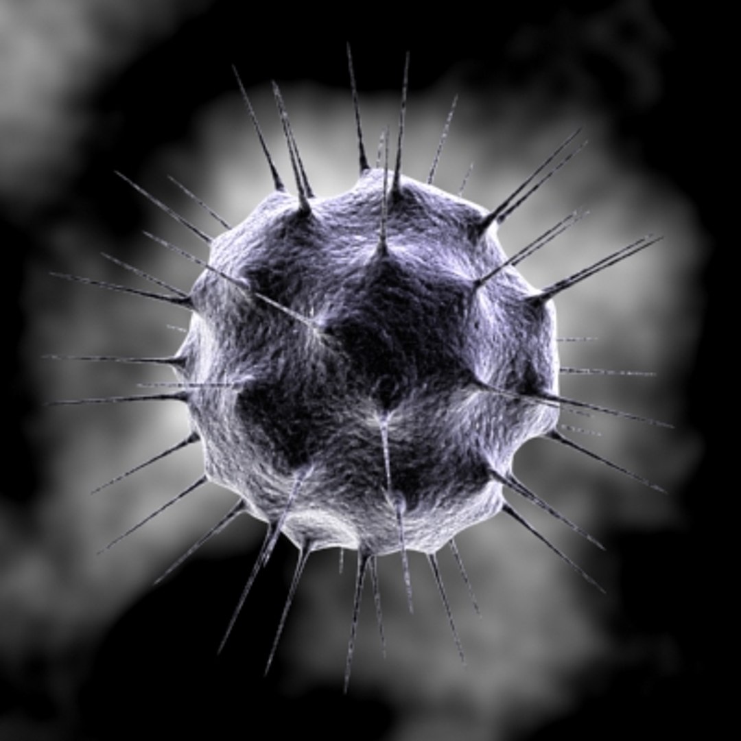 40 micro objects set max https://p.turbosquid.com/ts-thumb/he/YyrZA0/QhYw4t8S/kjk/jpg/1214248142/1920x1080/fit_q87/4eca5c0136d772172dd39e61f2cbf577ee34b472/kjk.jpg