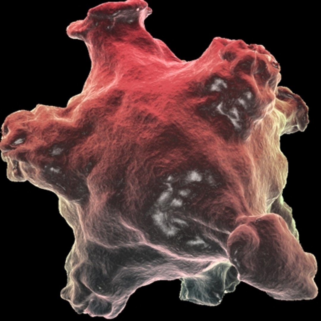 40 micro objects set max https://p.turbosquid.com/ts-thumb/he/YyrZA0/SJ7yFbY4/influenza/jpg/1214247979/1920x1080/fit_q87/f2613e233bc54b1d5829b2c8b4ed0be36d1bfeec/influenza.jpg