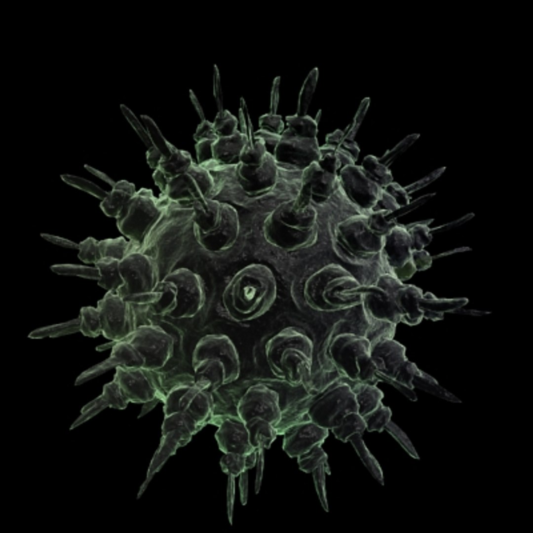 40 micro objects set max https://p.turbosquid.com/ts-thumb/he/YyrZA0/l2NDo3IV/virus12/jpg/1214248067/1920x1080/fit_q87/b816c0890b654639ab707003bddf0c97cd4868a0/virus12.jpg