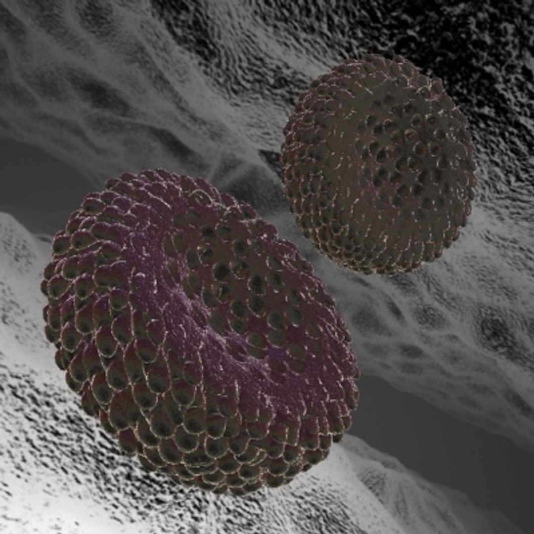 40 micro objects set max https://p.turbosquid.com/ts-thumb/he/YyrZA0/mXWE5a33/virus22/jpg/1214248075/1920x1080/fit_q87/cdf5f143dcd774d781328fca56459d6a57b4e492/virus22.jpg