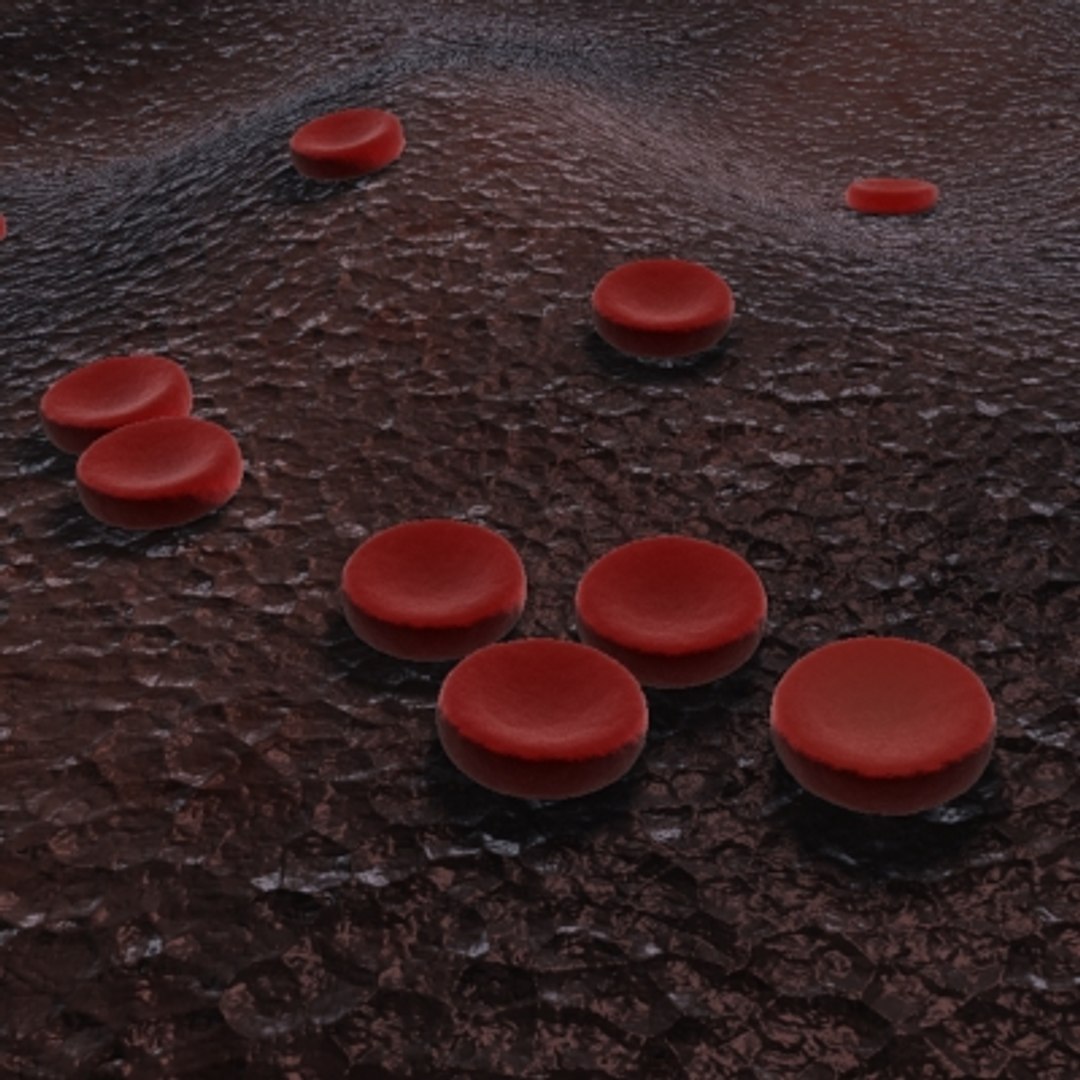 40 micro objects set max https://p.turbosquid.com/ts-thumb/he/YyrZA0/zpk2BFCU/redbloodcells/jpg/1214248156/1920x1080/fit_q87/daa6aee135e73a9048a827228b71e3ee4c10f4c5/redbloodcells.jpg