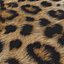 Rug Leopard Print