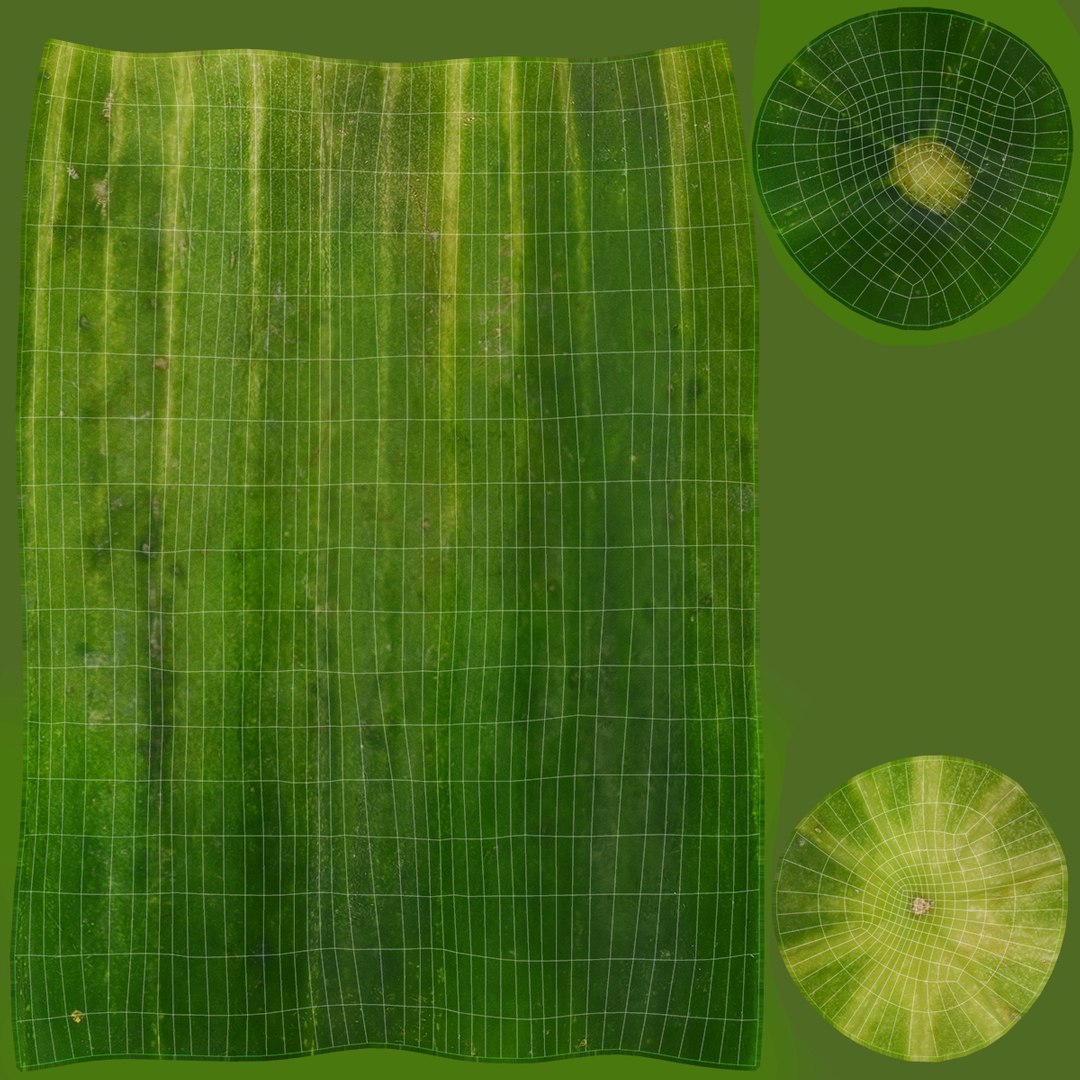 small cucumber 3D model https://p.turbosquid.com/ts-thumb/he/bWTGX2/18/26/jpg/1612008977/1920x1080/fit_q87/d18d64828d5be4c9ad4a1f64034ed131dcb2ae5b/26.jpg