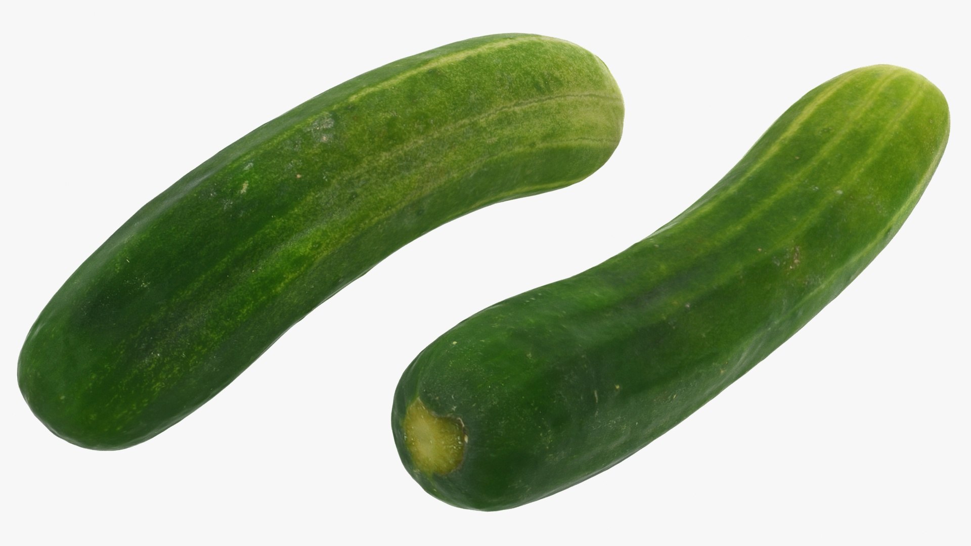small cucumber 3D model https://p.turbosquid.com/ts-thumb/he/bWTGX2/78/3/jpg/1612009389/1920x1080/fit_q87/42508d6f6b795847d7a860175939d0b3164ba9c4/3.jpg