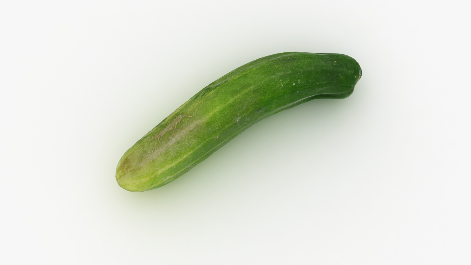 small cucumber 3D model https://p.turbosquid.com/ts-thumb/he/bWTGX2/8h/smallcucumbe/jpg/1611852604/1920x1080/turn_fit_q99/d251aa8643be2544fa6d210b94fcd2a225cec86a/smallcucumbe-1.jpg