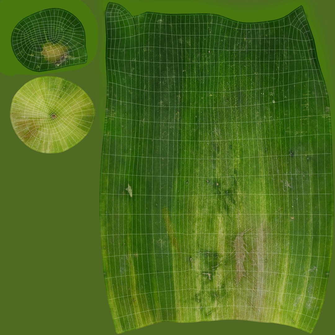 small cucumber 3D model https://p.turbosquid.com/ts-thumb/he/bWTGX2/C2/16/jpg/1612008977/1920x1080/fit_q87/467acd00dfc758997a6de247f20bd196d585d14c/16.jpg