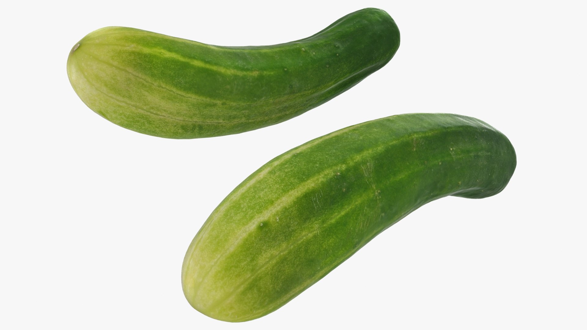 small cucumber 3D model https://p.turbosquid.com/ts-thumb/he/bWTGX2/FS/2/jpg/1612009389/1920x1080/fit_q87/5d9f61ecf6535cc39e7cd499d3e8b1e780731c4a/2.jpg