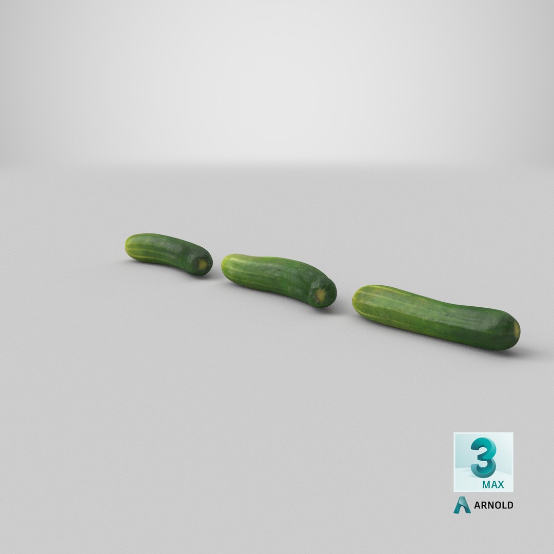 small cucumber 3D model https://p.turbosquid.com/ts-thumb/he/bWTGX2/It/stemcell_max_arnold_render/png/1613004603/1920x1080/fit_q87/52ed7c08cc9efc61f0d463587ad5e6b214b71d6b/stemcell_max_arnold_render.jpg