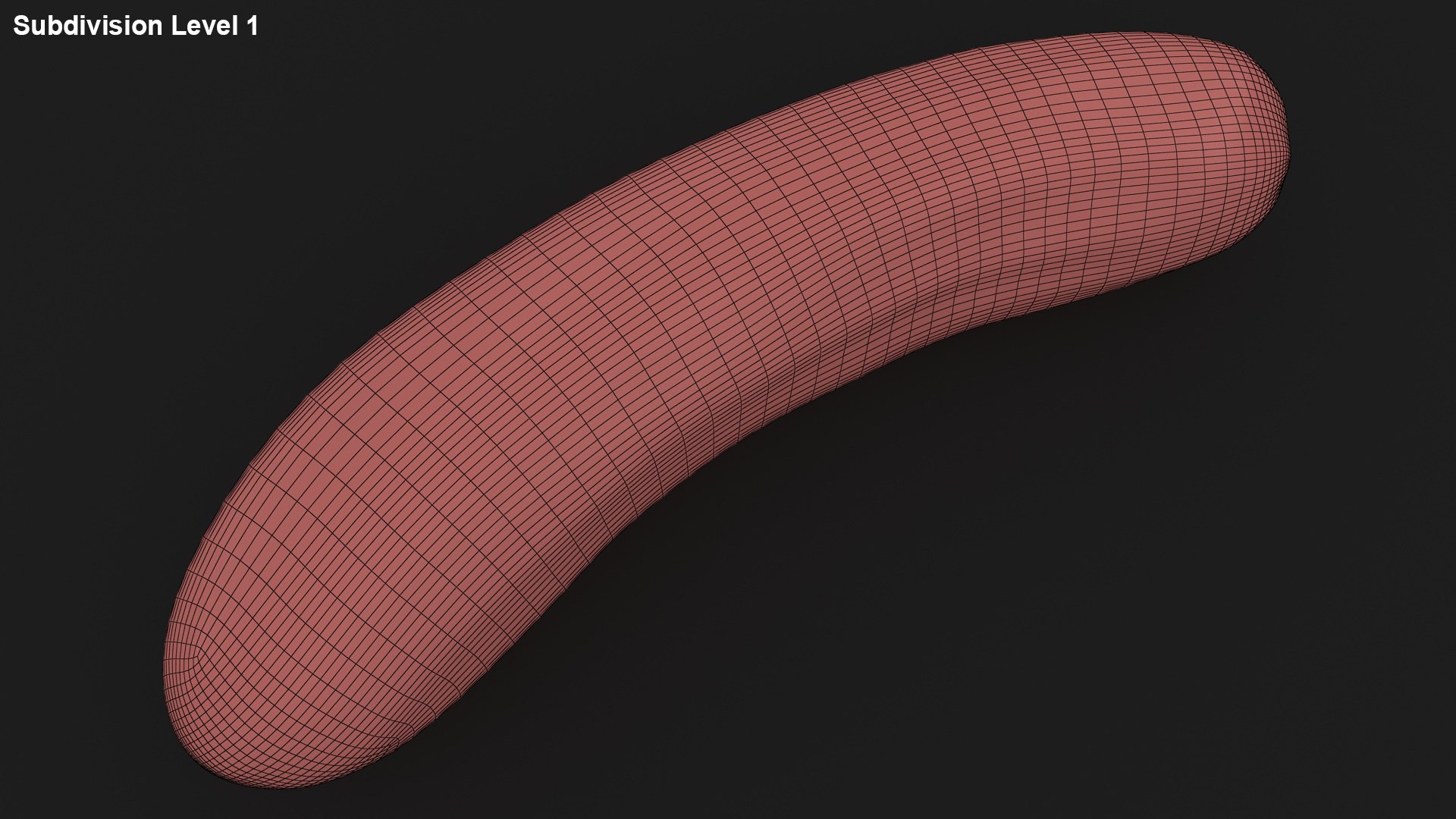 small cucumber 3D model https://p.turbosquid.com/ts-thumb/he/bWTGX2/RU/5/jpg/1612009391/1920x1080/fit_q87/2ffa2ff954e8b92e5ec5b3069ad727aeb1f1722f/5.jpg