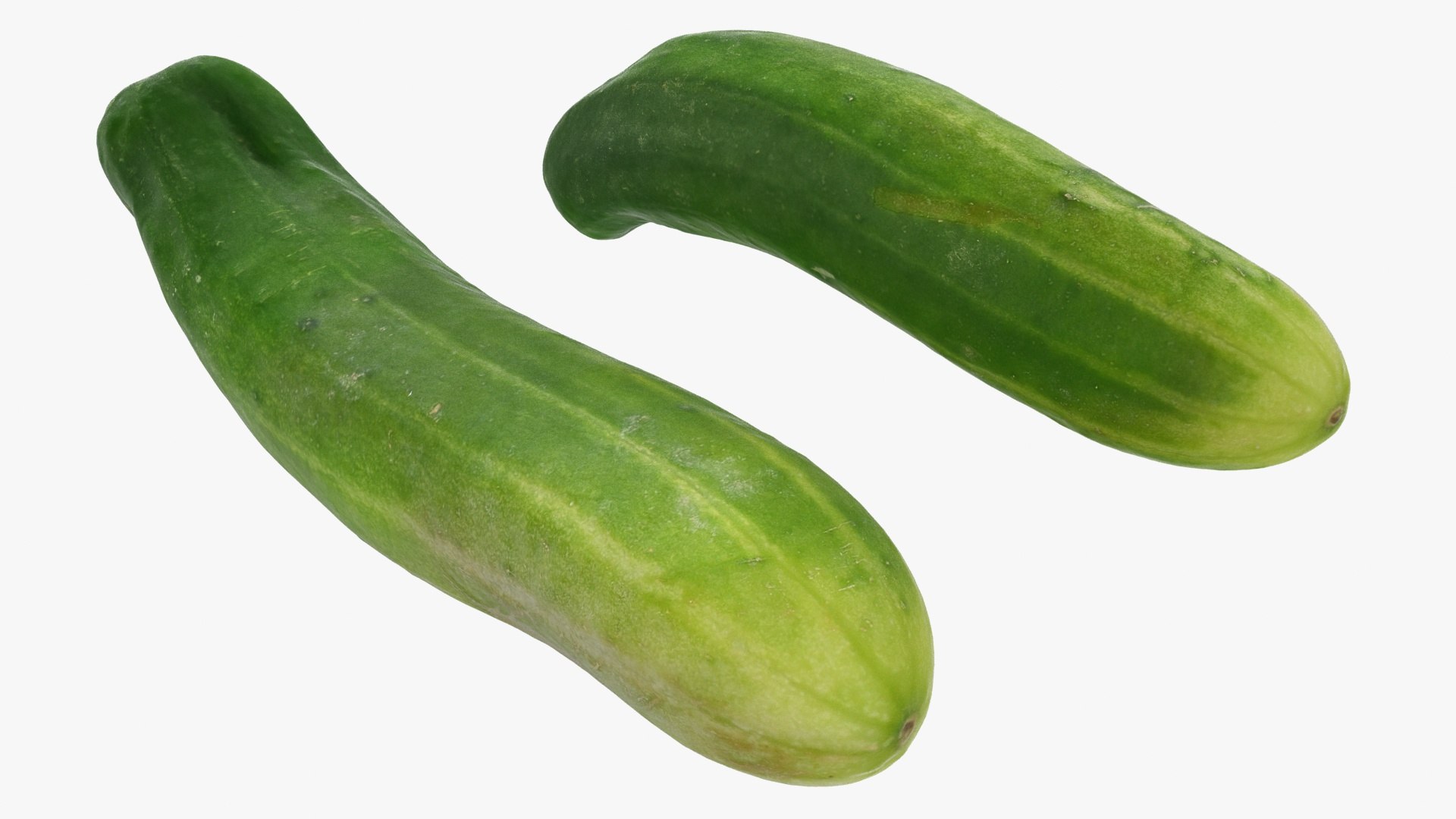 small cucumber 3D model https://p.turbosquid.com/ts-thumb/he/bWTGX2/RZ/12/jpg/1612008968/1920x1080/fit_q87/3c3e44d08d853af242cf54d8343e94e3b1c432cb/12.jpg