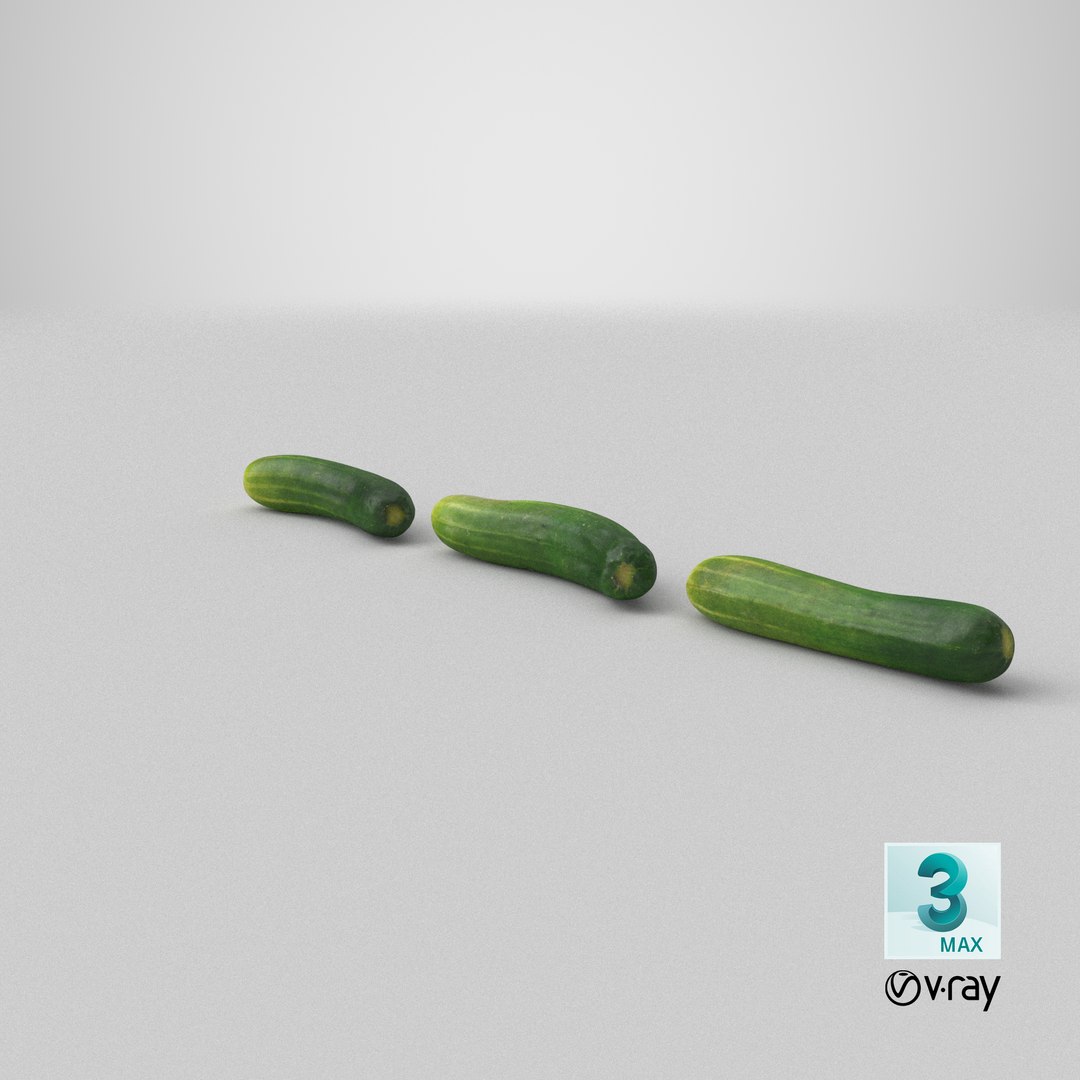small cucumber 3D model https://p.turbosquid.com/ts-thumb/he/bWTGX2/S9/stemcell_max_vray_render/png/1613004608/1920x1080/fit_q87/102f08c9af522bb2847493b818fadb267a83f6ee/stemcell_max_vray_render.jpg