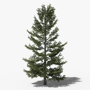 3D Lowpoly Pine v8 model