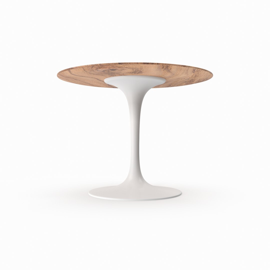 table modeled 2010 3D model https://p.turbosquid.com/ts-thumb/hf/9ks0di/LLUub579/t190113/jpg/1571351539/1920x1080/fit_q87/21c1a5f77e3e74f44247986a991d24eac1aad3f8/t190113.jpg
