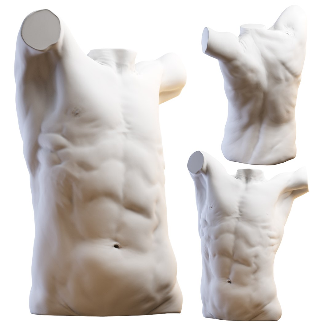 3D Torso - TurboSquid 1779316