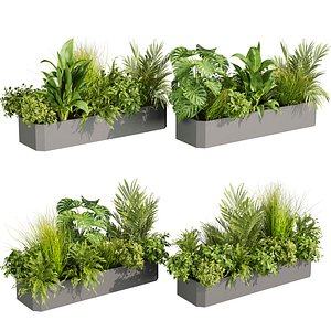 plant vol 879 - grass - monstera - bush - palm 3D model