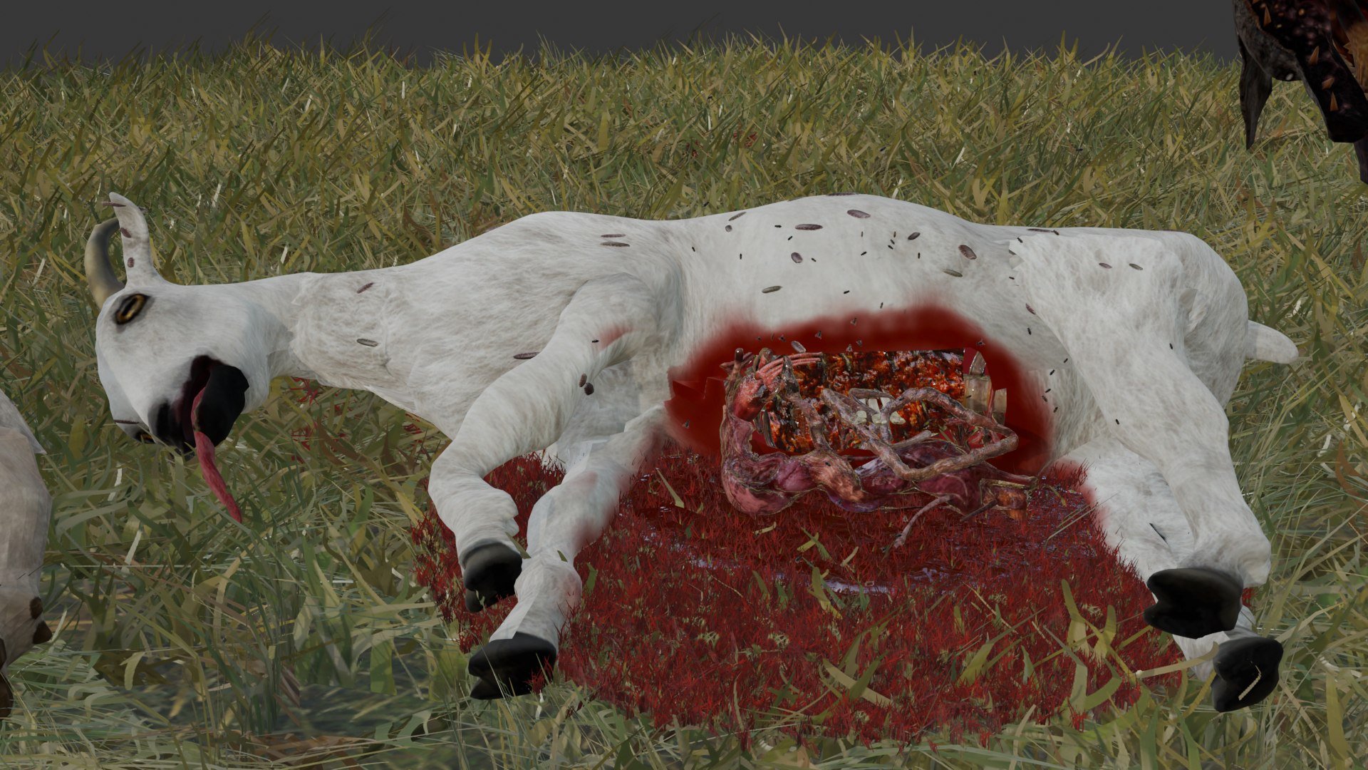 Animal Corpse 3D - TurboSquid 2452996