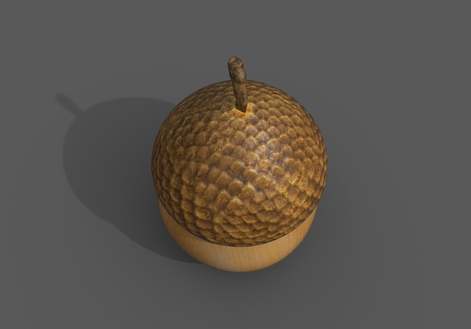 3D Acorn - TurboSquid 1614598