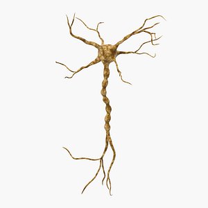 neuron neuro 3d max