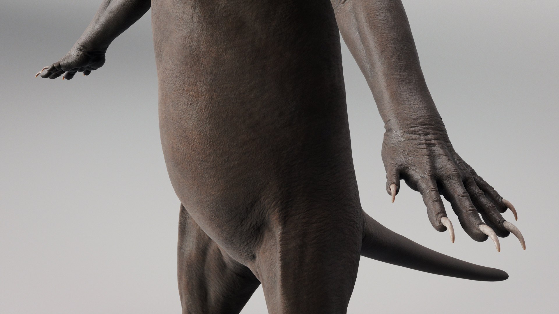 Meerkat 3D https://p.turbosquid.com/ts-thumb/hf/yFOqXn/Kw/meerkat_beauty.28/jpg/1703969347/1920x1080/fit_q87/7865205b122c09259f73177a425349cd443c92db/meerkat_beauty.28.jpg