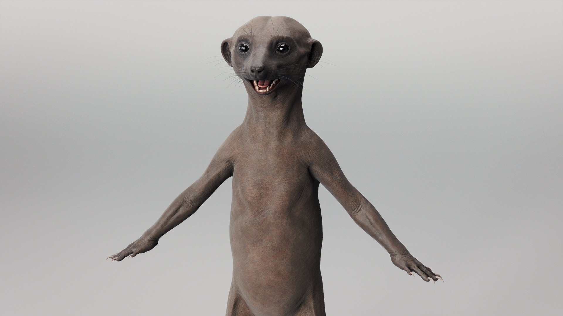 Meerkat 3D https://p.turbosquid.com/ts-thumb/hf/yFOqXn/Mz/meerkat_beauty.27/jpg/1703969348/1920x1080/fit_q87/360c9686794593740298bbb7e96bb804f7e0c7ec/meerkat_beauty.27.jpg