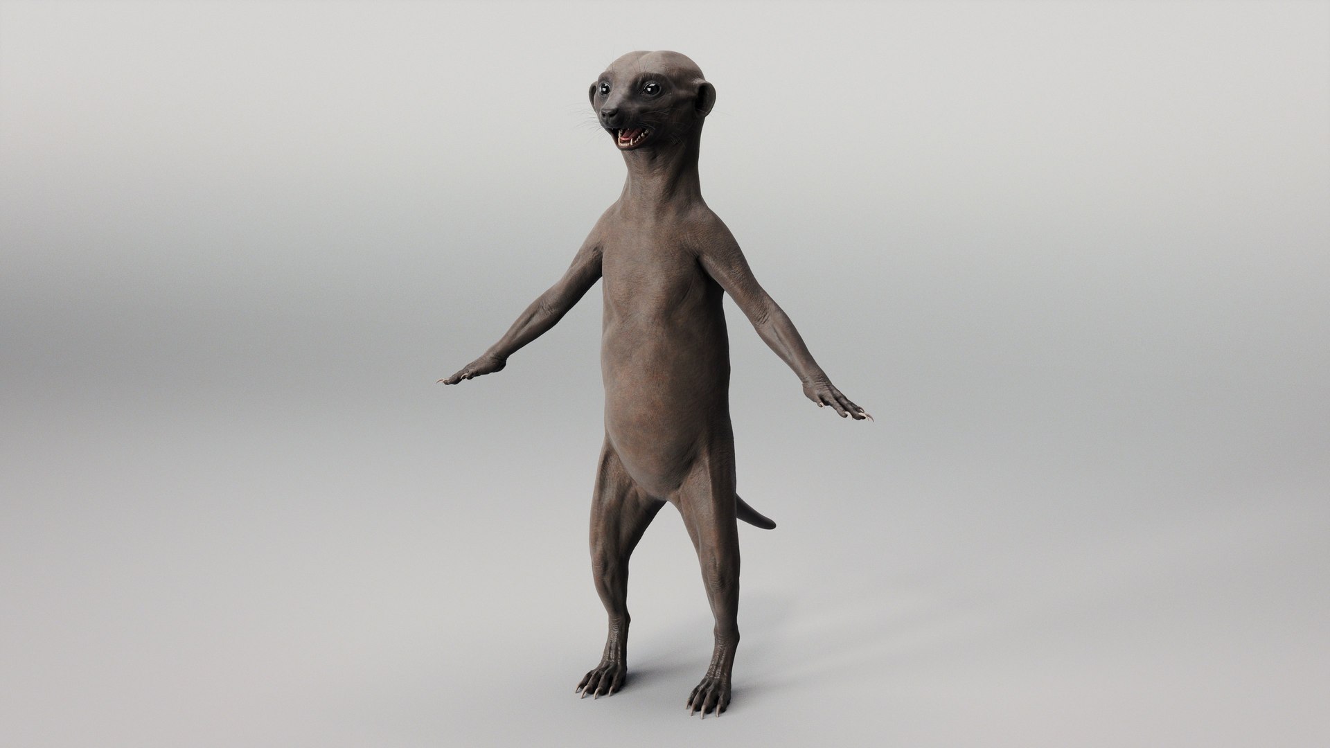 Meerkat 3D https://p.turbosquid.com/ts-thumb/hf/yFOqXn/XZ/meerkat_beauty.25/jpg/1703969347/1920x1080/fit_q87/b1c300486bd1caf21279cd808466c8dea2159532/meerkat_beauty.25.jpg