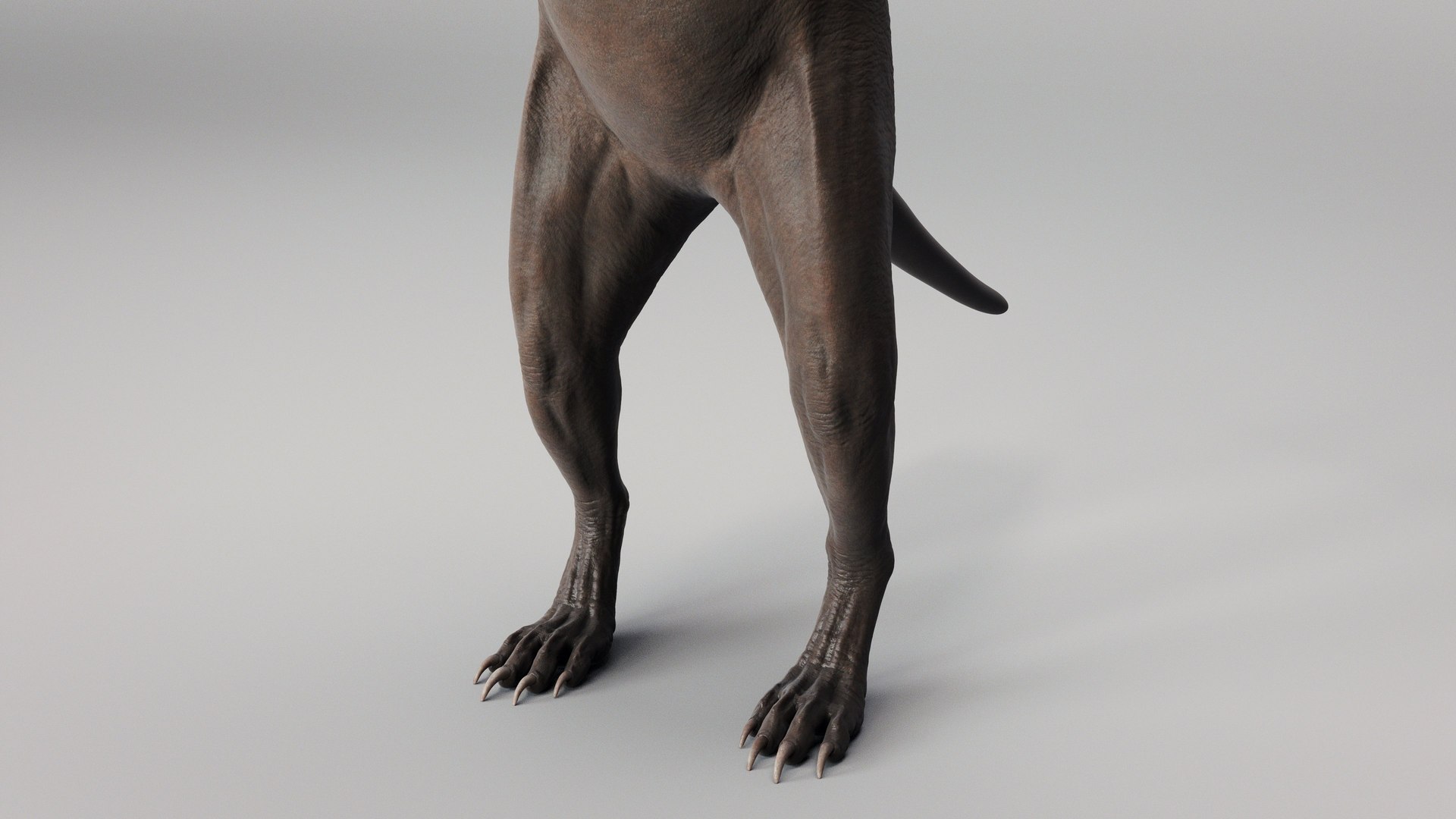 Meerkat 3D https://p.turbosquid.com/ts-thumb/hf/yFOqXn/zS/meerkat_beauty.30/jpg/1703969349/1920x1080/fit_q87/8171b901f12ed37600c324d2e29b7208b909325c/meerkat_beauty.30.jpg