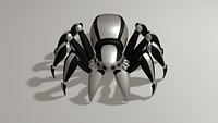 Spider Bot