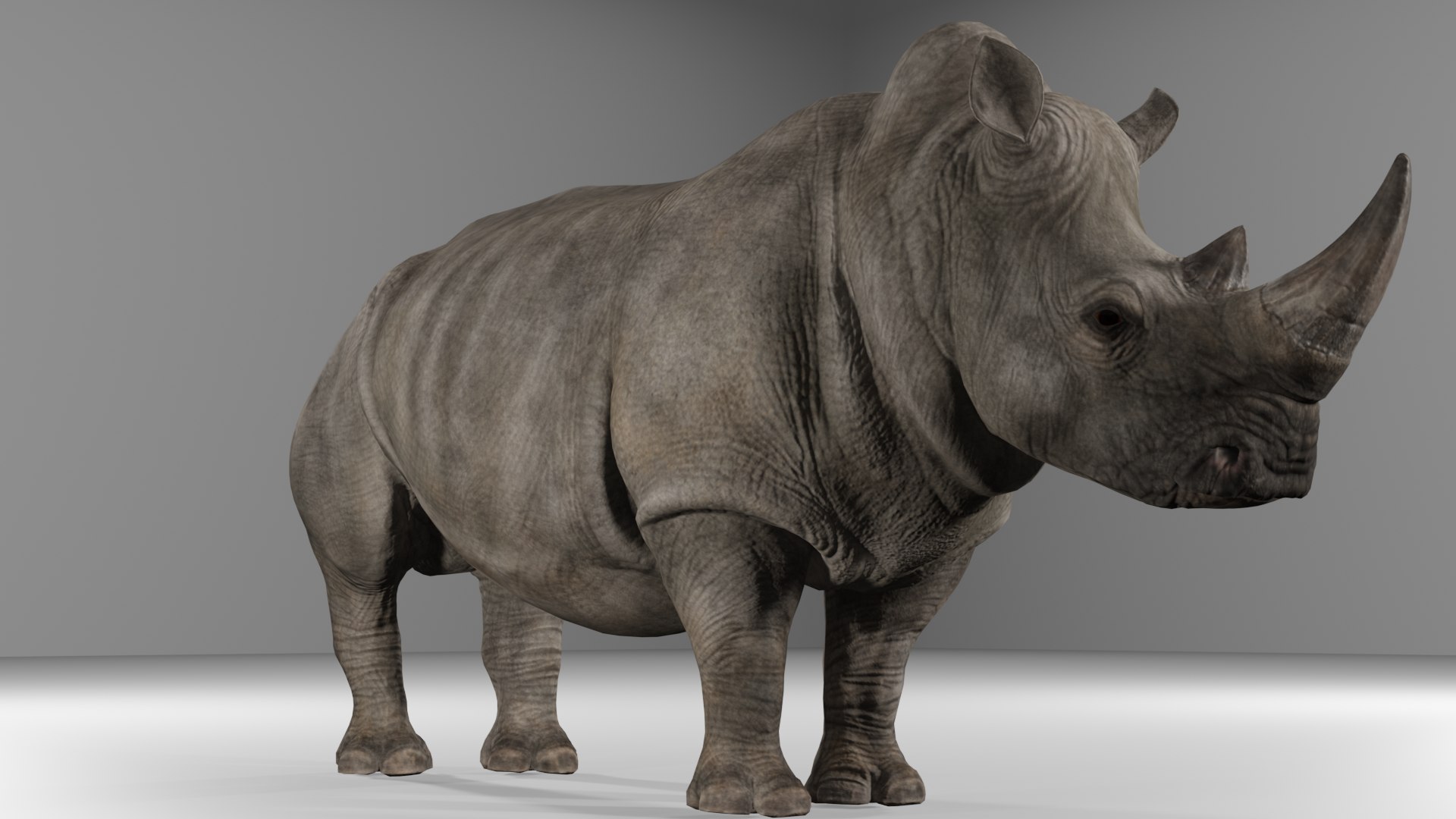 Rhino 3D - TurboSquid 2382520