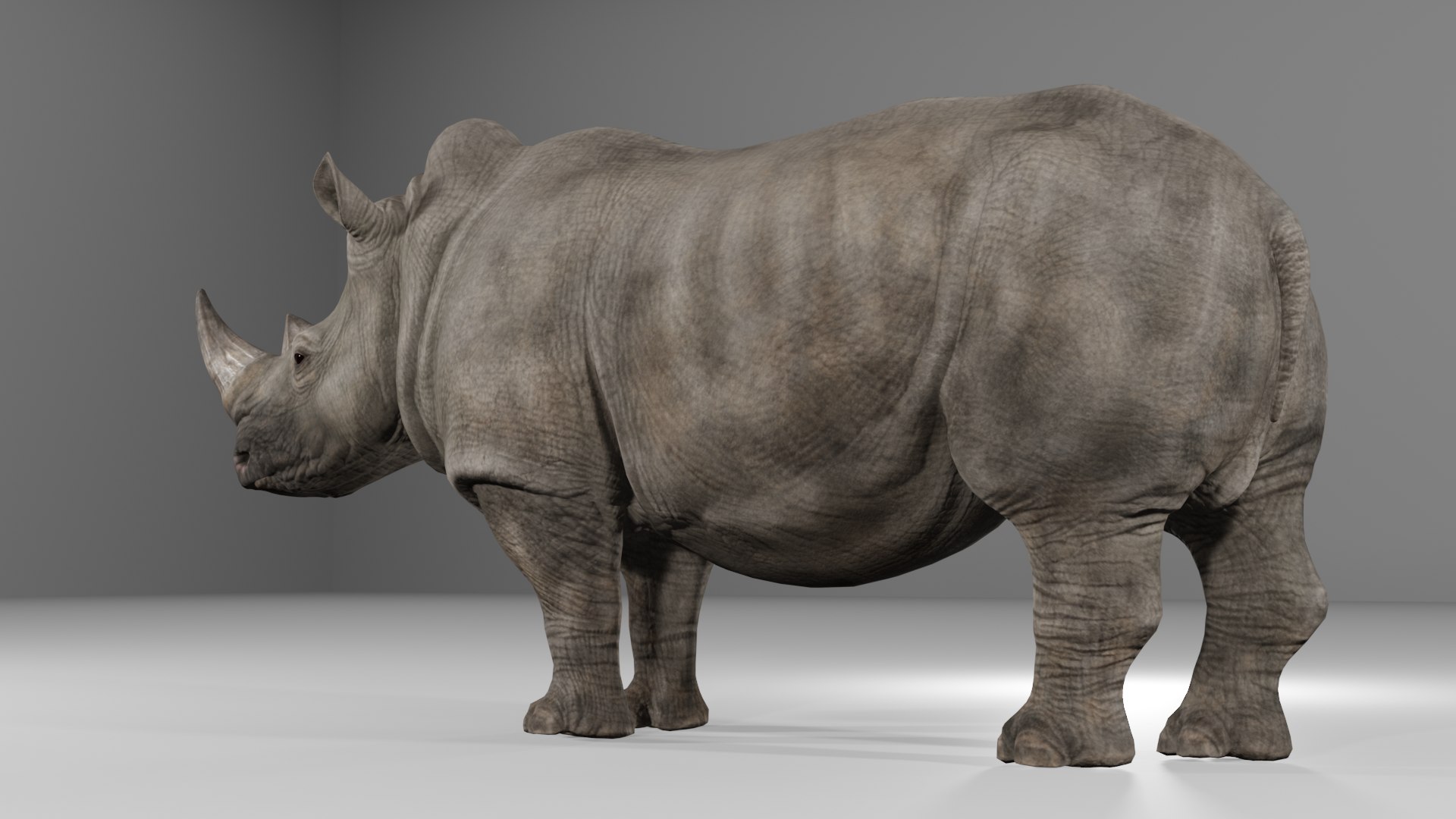 Rhino 3D - TurboSquid 2382520