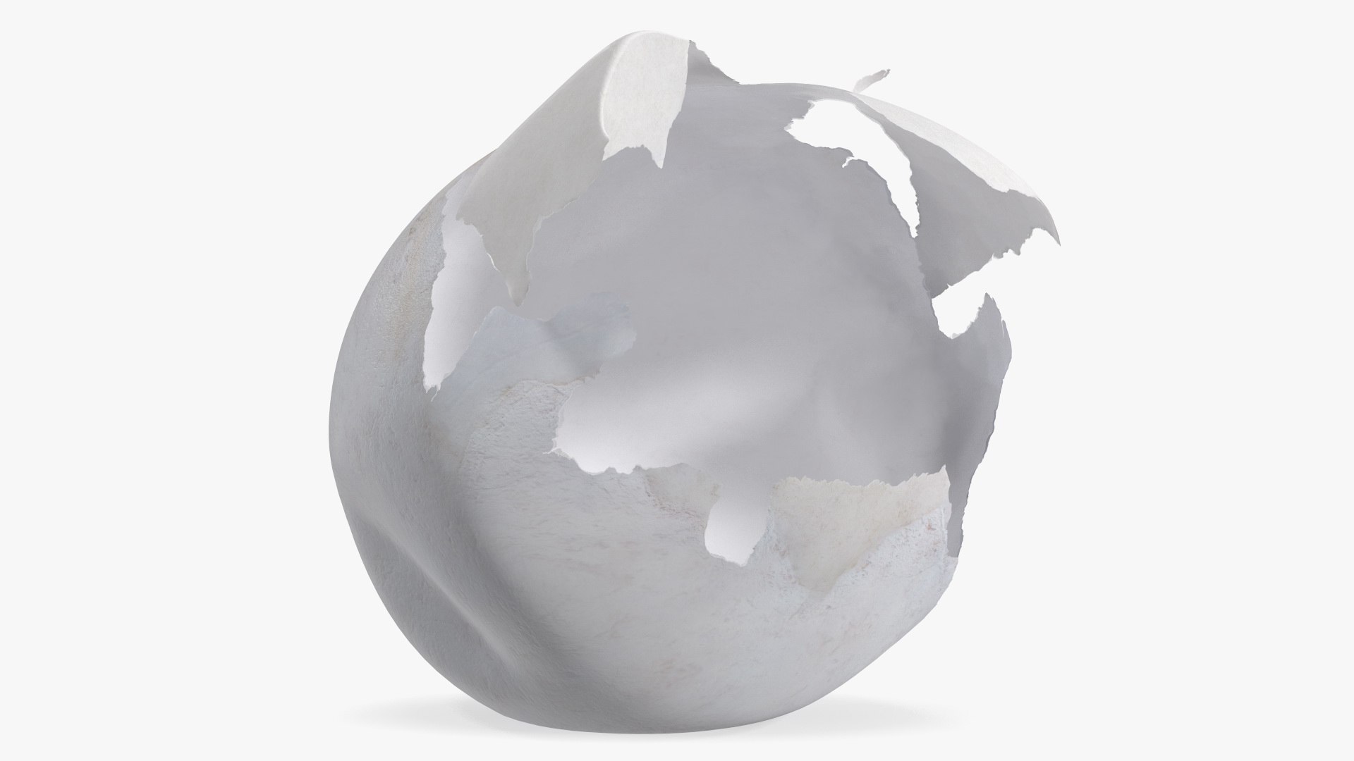 Cracked Turtle Egg 3D model preview