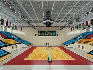 Professional Competition Basketball Arena 3D Model