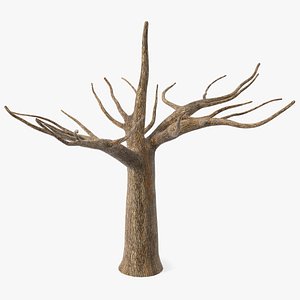 Morus Tree Trunk 3D model