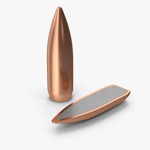 3D Cross Section Of Bullet