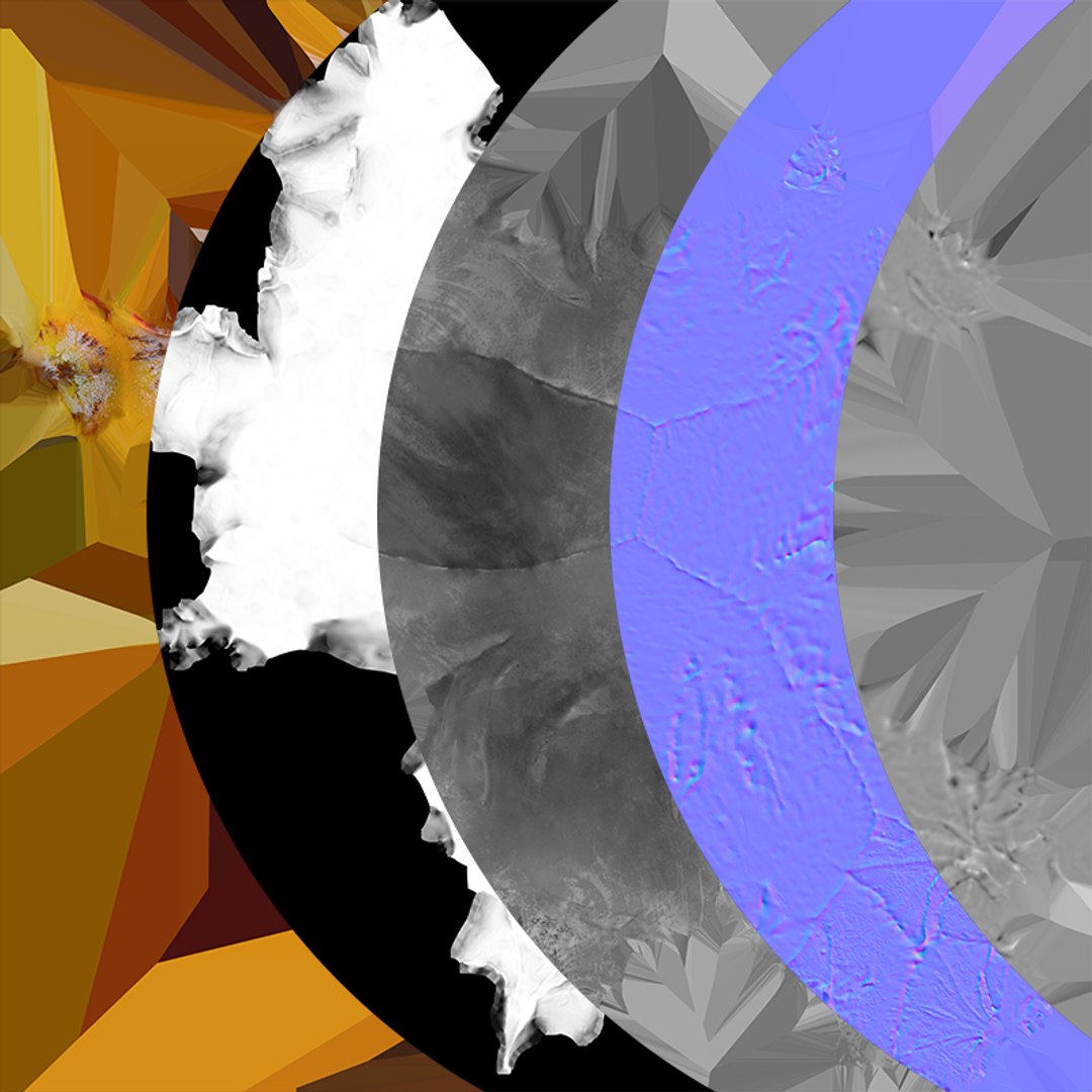 Pineapple Slice 02 3D https://p.turbosquid.com/ts-thumb/hg/j95CnF/G9/pineappleslice2_c0005/png/1763144291/1920x1080/fit_q87/e6668a30b38e2d25acb15ccd275f63be555cb2af/pineappleslice2_c0005.jpg