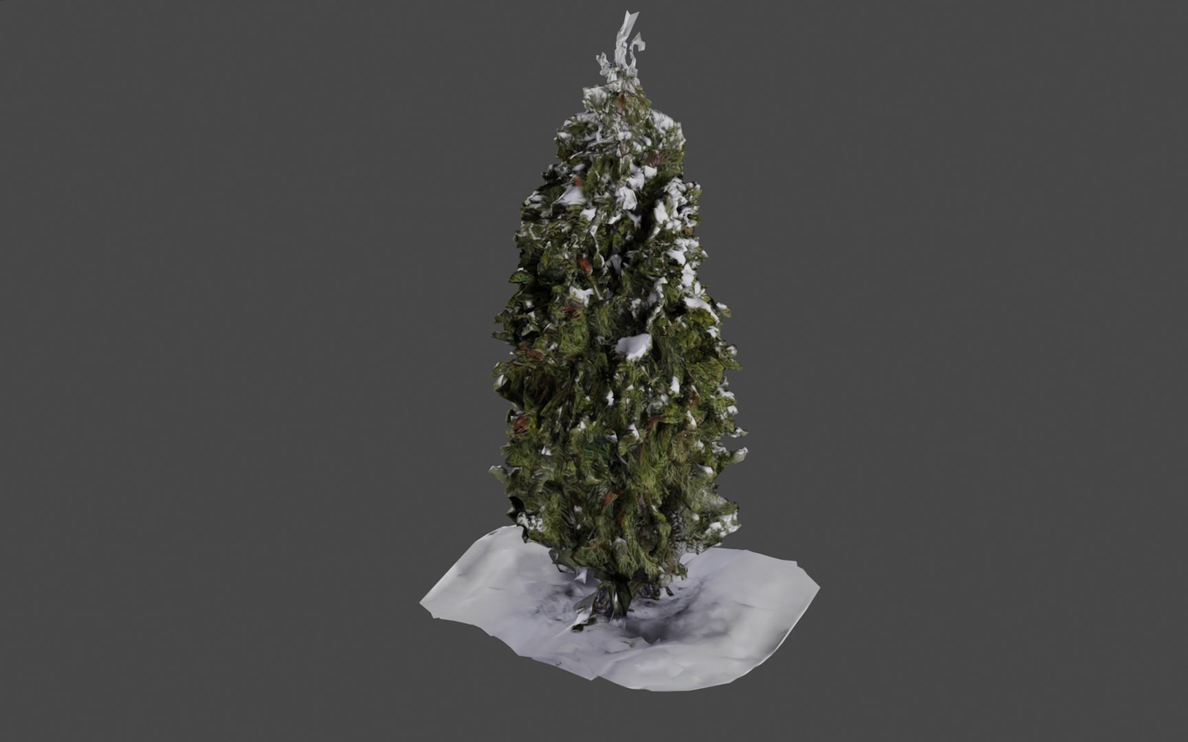 3D ICY SNOW WINTER CHRISTMAS BUSH TREE https://p.turbosquid.com/ts-thumb/hg/l5VOSH/CD/g10/jpg/1669801054/1920x1080/fit_q87/285b041390848a95f27fd482ba7fed943a8abb50/g10.jpg