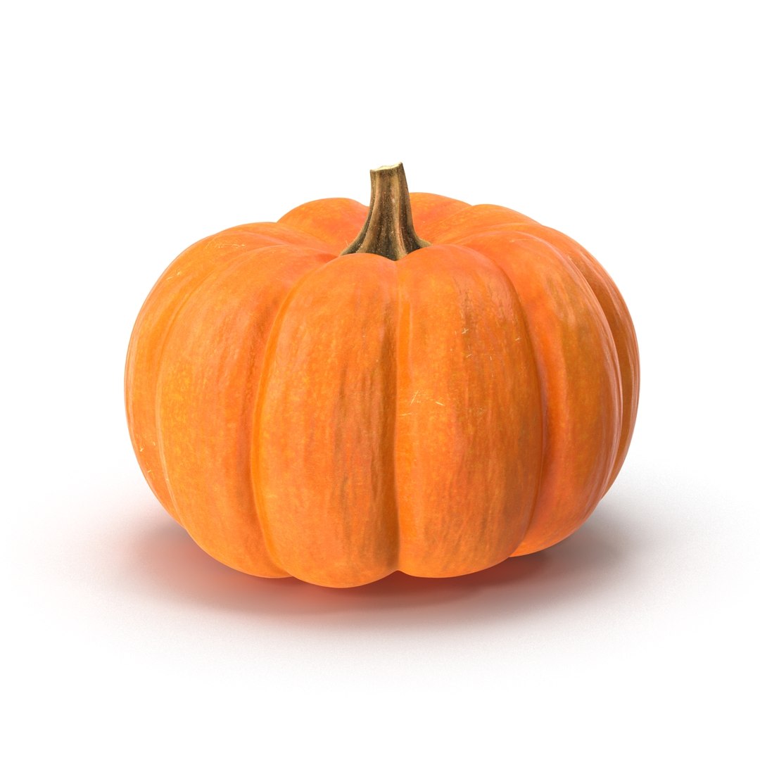 3d model pumpkin