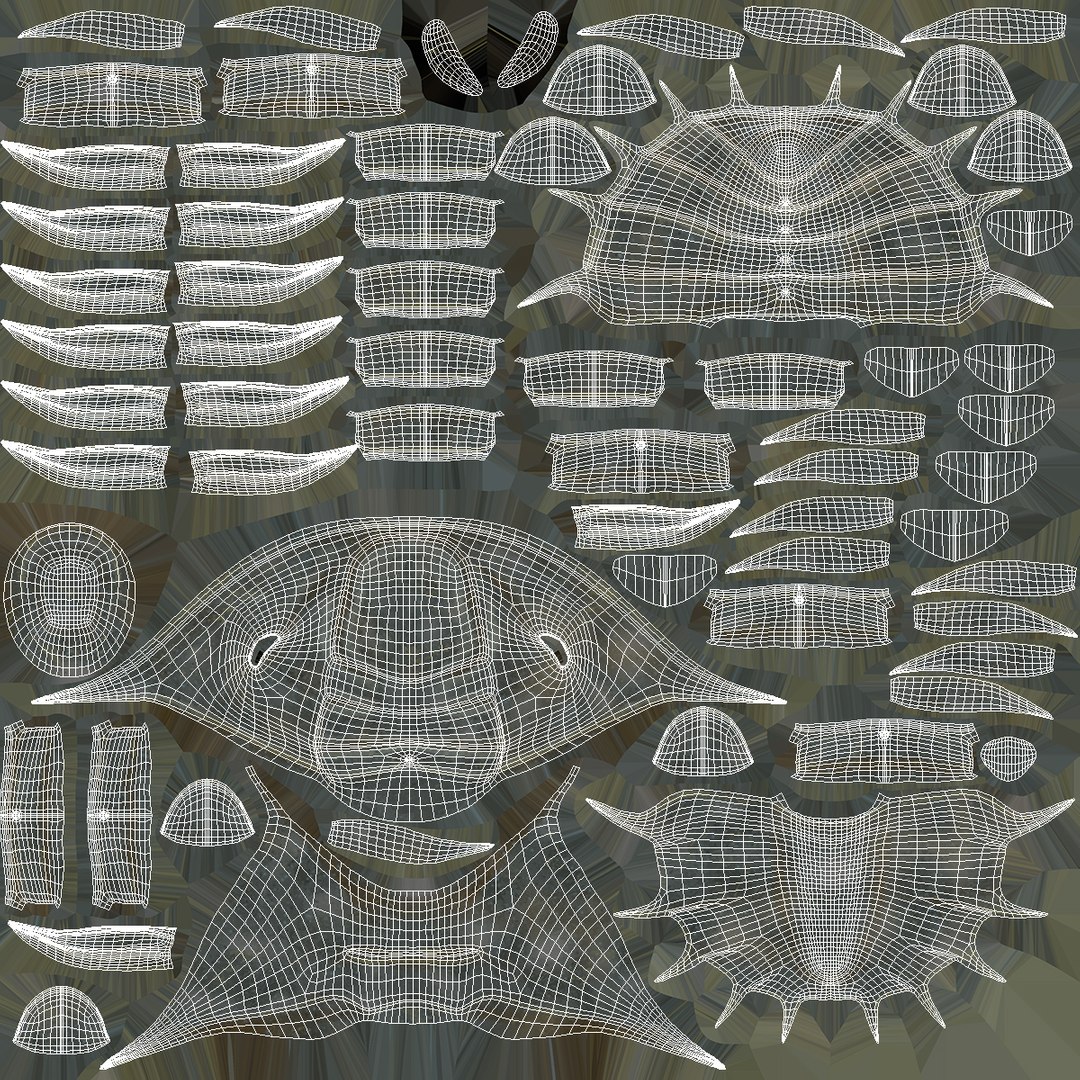 trilobite fur 3D model https://p.turbosquid.com/ts-thumb/hh/GHRQwV/4s3jWHUH/trilobitefurmb3dmodel018/jpg/1573998585/1920x1080/fit_q87/6fd27614862e8e759430af2483d0f1823a6998c6/trilobitefurmb3dmodel018.jpg