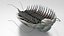 Pelliccia di trilobite