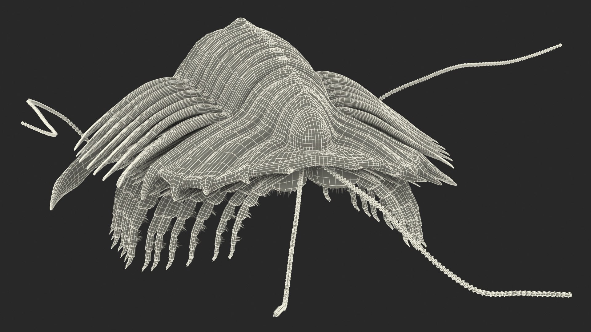 trilobite fur 3D model https://p.turbosquid.com/ts-thumb/hh/GHRQwV/NuS9wBkm/trilobitefurmb3dmodel021/jpg/1573998598/1920x1080/fit_q87/a771e7e16b5be2b26db0b68b3efa29cbd9d2dd88/trilobitefurmb3dmodel021.jpg