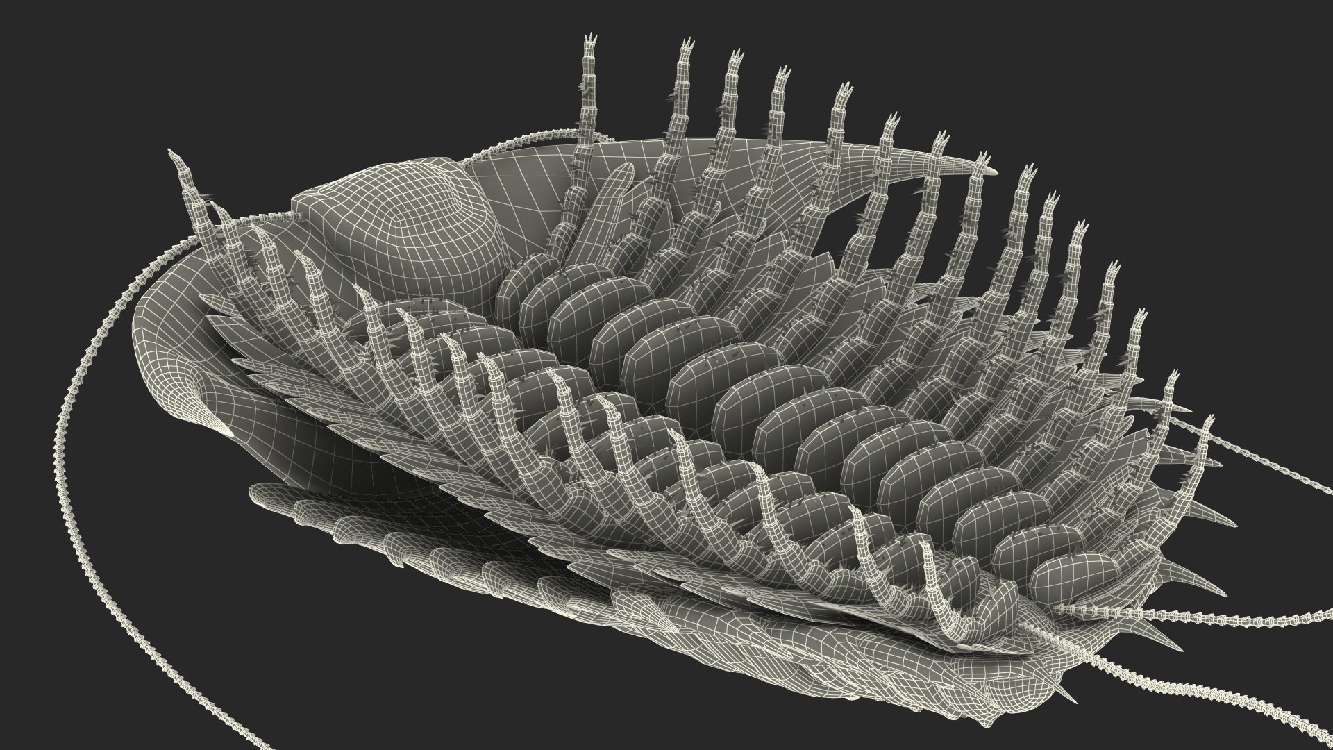 trilobite fur 3D model https://p.turbosquid.com/ts-thumb/hh/GHRQwV/PJSKuj6U/trilobitefurmb3dmodel023/jpg/1573998607/1920x1080/fit_q87/3dd45d26613401ecdd74d314a287fae119bae17b/trilobitefurmb3dmodel023.jpg