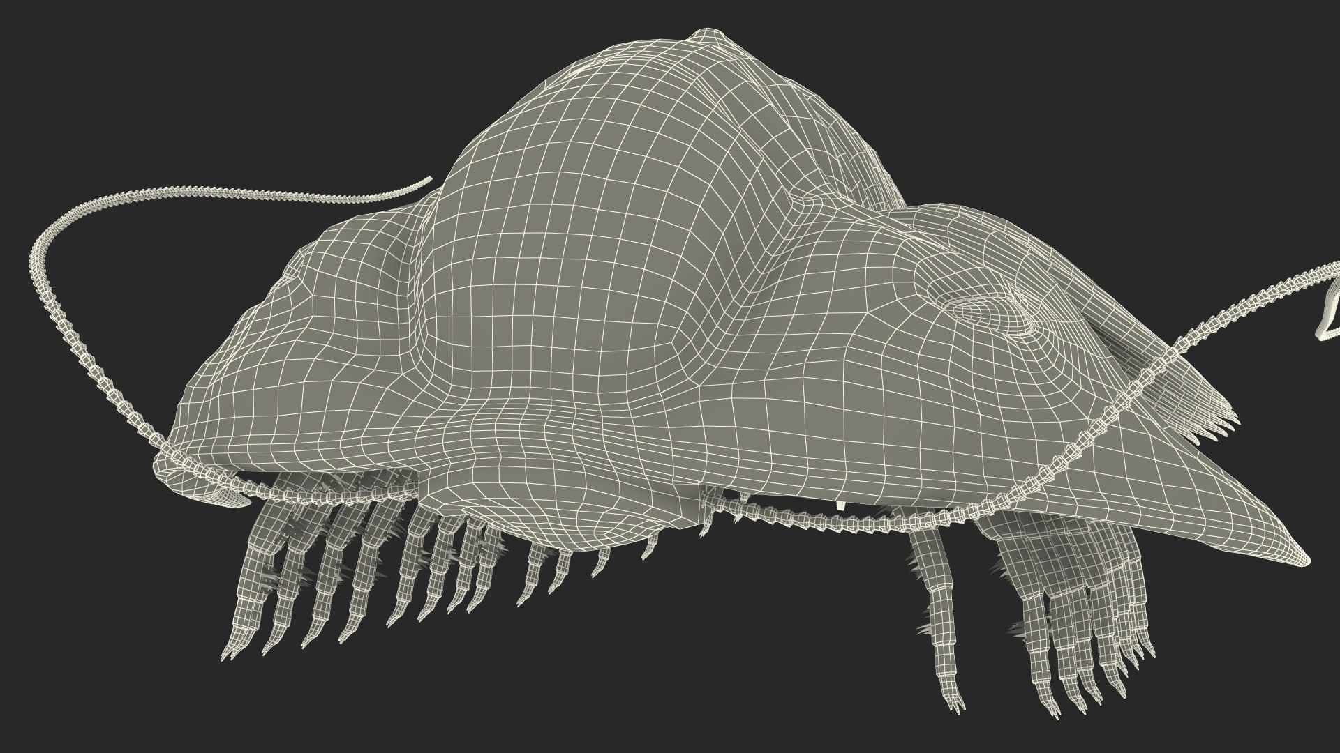 trilobite fur 3D model https://p.turbosquid.com/ts-thumb/hh/GHRQwV/T6zlCGaG/trilobitefurmb3dmodel022/jpg/1573998603/1920x1080/fit_q87/1c02de4907f11a4941664a98c44e1c1b08a31dfc/trilobitefurmb3dmodel022.jpg