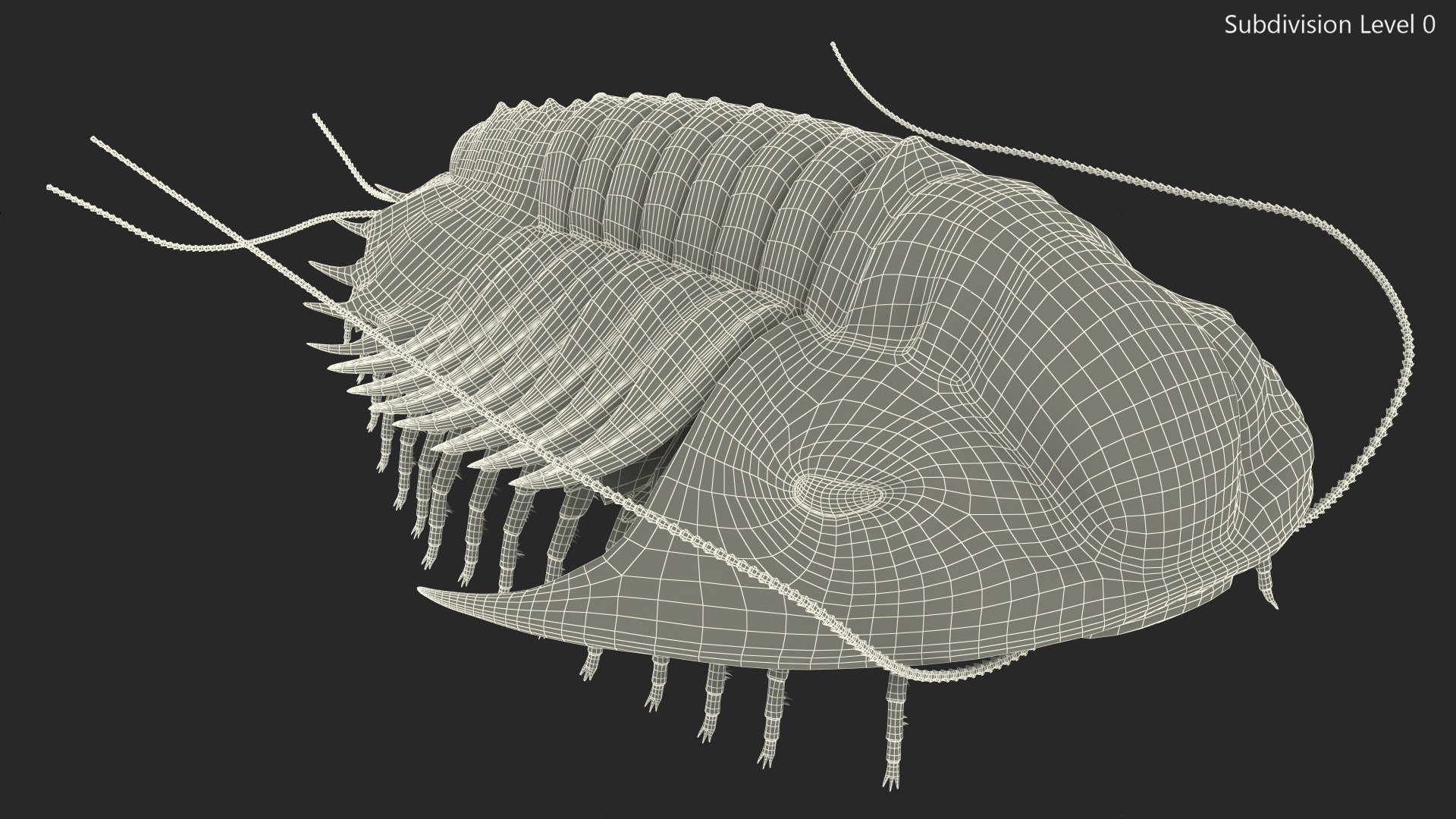 trilobite fur 3D model https://p.turbosquid.com/ts-thumb/hh/GHRQwV/cuZZtwl6/trilobitefurmb3dmodel016/jpg/1573998575/1920x1080/fit_q87/c7e20a14fb4a78770ba2d95cb23870c84da76e63/trilobitefurmb3dmodel016.jpg