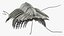 Pelliccia di trilobite