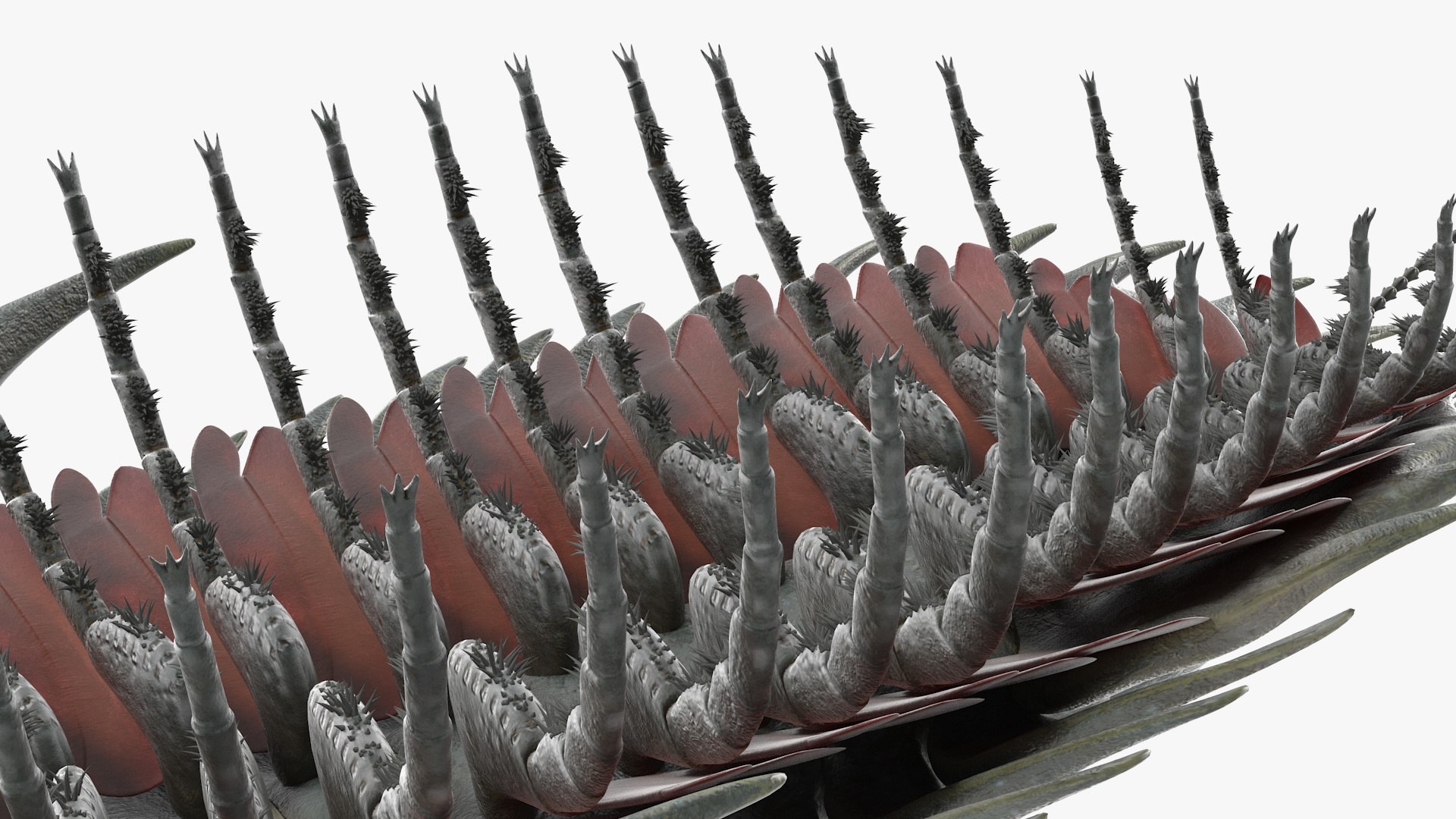 trilobite fur 3D model https://p.turbosquid.com/ts-thumb/hh/GHRQwV/mK5nrhLh/trilobitefurmb3dmodel013/jpg/1573998556/1920x1080/fit_q87/9e0bc4f2e639a3da3ab160217f2e75acbec94c59/trilobitefurmb3dmodel013.jpg