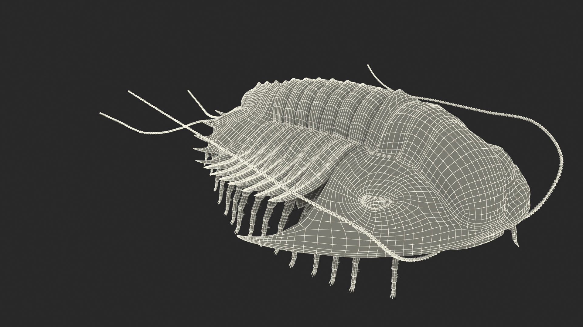 trilobite fur 3D model https://p.turbosquid.com/ts-thumb/hh/GHRQwV/sfSRPPjW/trilobite_fur_361/jpg/1573998159/1920x1080/turn_fit_q99/69b1779ff089e40995648414160c2cfec21aff3e/trilobite_fur_361-1.jpg