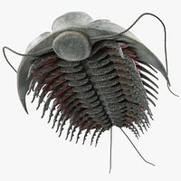 Trilobite Fur