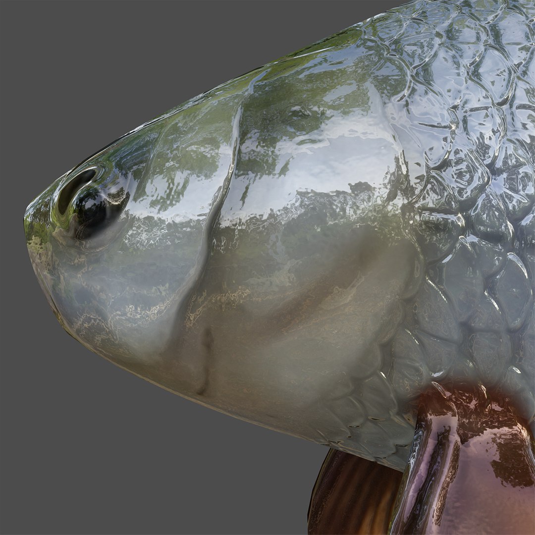Ide Fish Animations 3D Model - TurboSquid 1578479