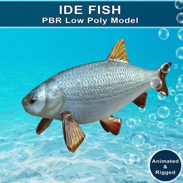 Modelo Animado Ide Fish Modelo 3D - TurboSquid 1578479