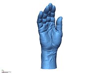 Man hand
