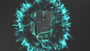 Mouse Model